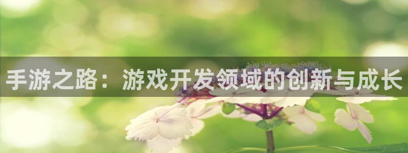 巅峰国际：手游之路：游戏开发领域的创新与成长