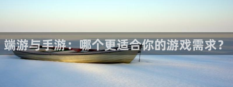 巅峰国际平台：端游与手游：哪个更适合你的游戏需求？