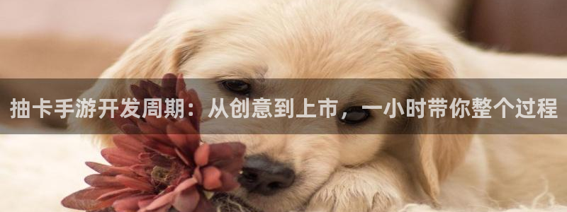 巅峰国际下载：抽卡手游开发周期：从创意到上市，一小时带你整个