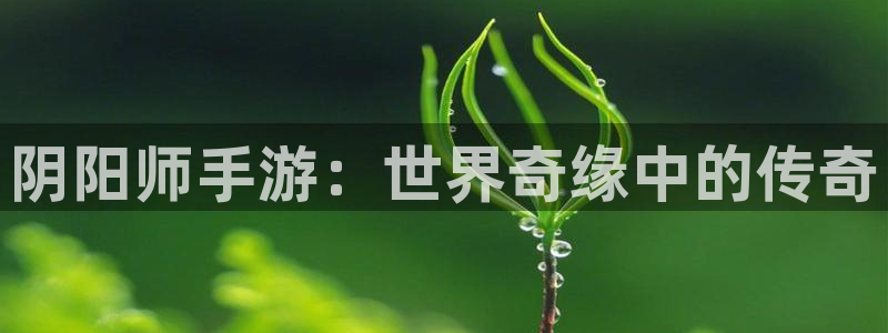 巅峰国际：阴阳师手游：世界奇缘中的传奇