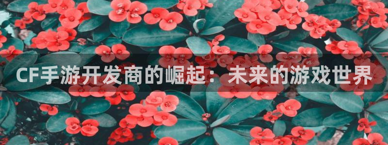 巅峰国际平台：CF手游开发商的崛起：未来的游戏世界