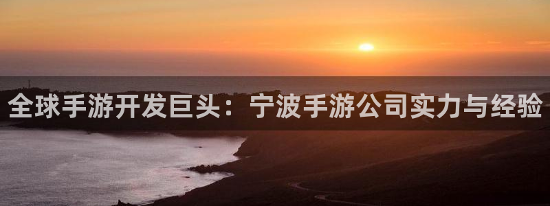 巅峰国际：全球手游开发巨头：宁波手游公司实力与经验