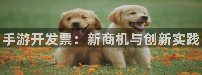 巅峰国际注册：手游开发票：新商机与创新实践