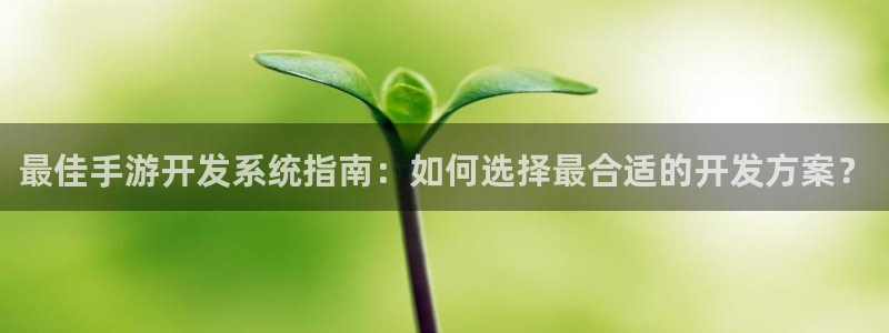 巅峰国际登陆：最佳手游开发系统指南：如何选择最合适的开发方案