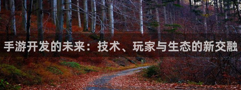 巅峰国际：手游开发的未来：技术、玩家与生态的新交融