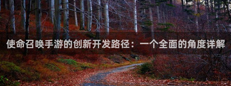 巅峰国际：使命召唤手游的创新开发路径：一个全面的角度详解